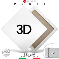 3D Malířské plátno na rámu PROFI