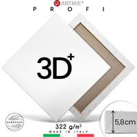 3D + Malířské plátno na rámu PROFI