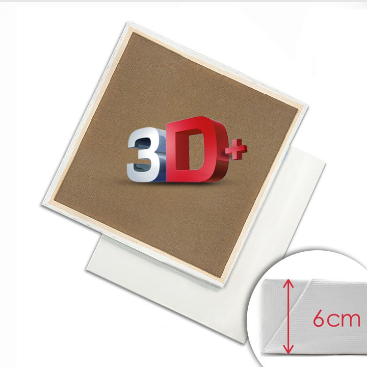 3D + Malířské plátno na rámu PROFI