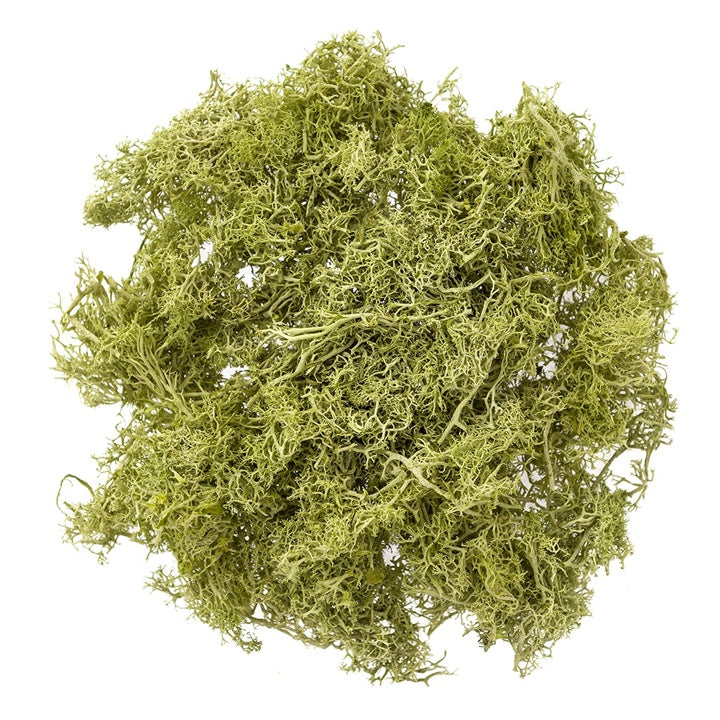 Přírodní sobí mech 30 g