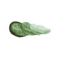 Olejové barvy Vernet - Holbein 20 ml