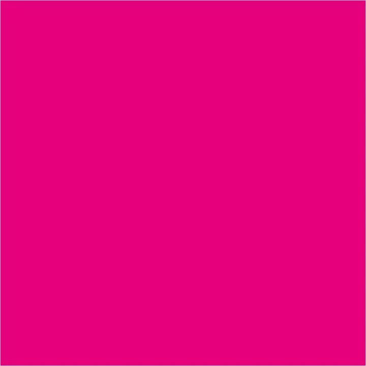 Pentart Liquid Pigments 10 ml