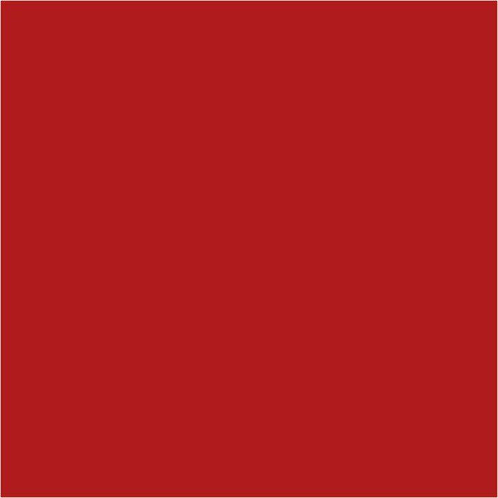 Pentart Liquid Pigments 10 ml