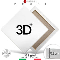 3D + Malířské plátno na rámu PROFI