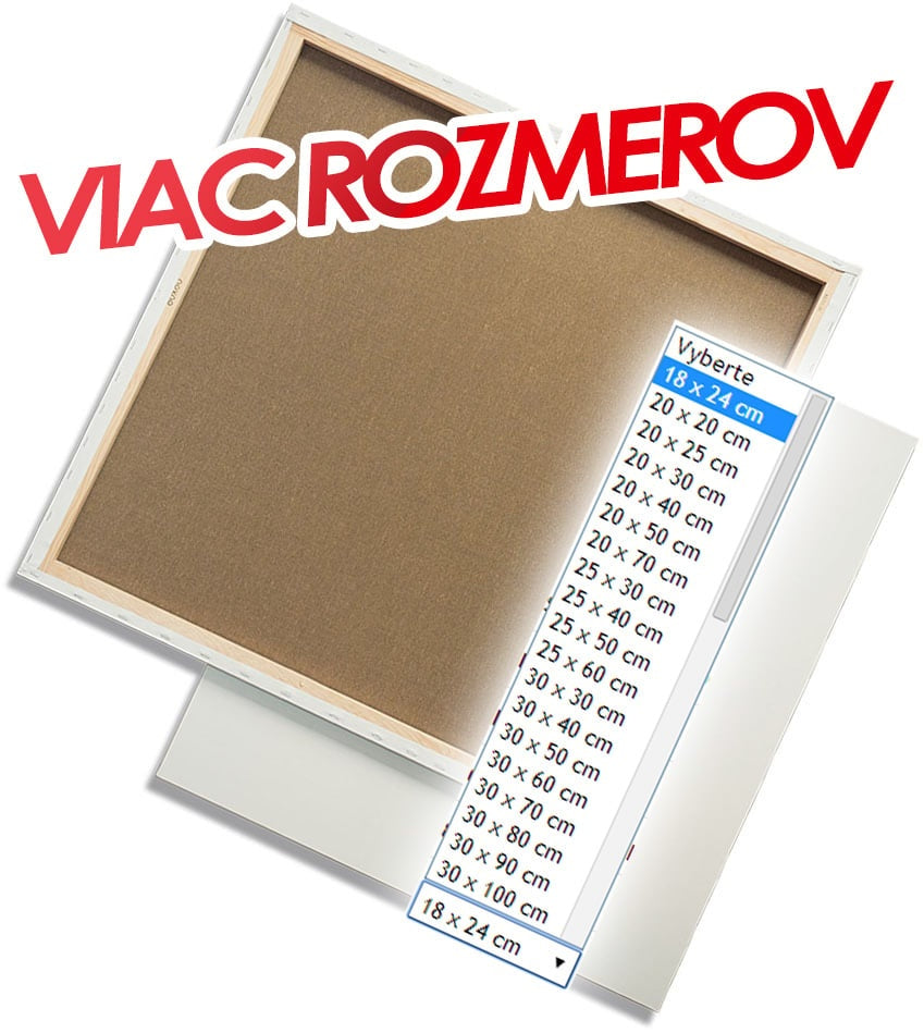 Plátno na rámu PROFI