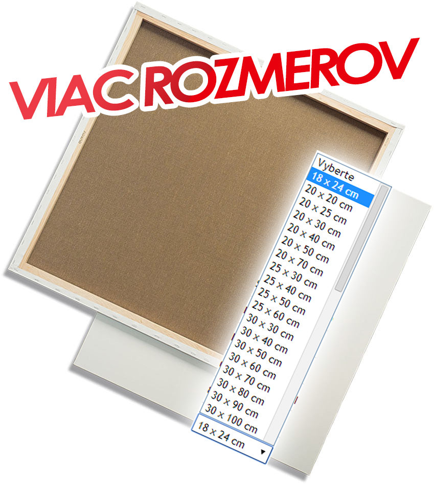 Plátno na rámu PROFI
