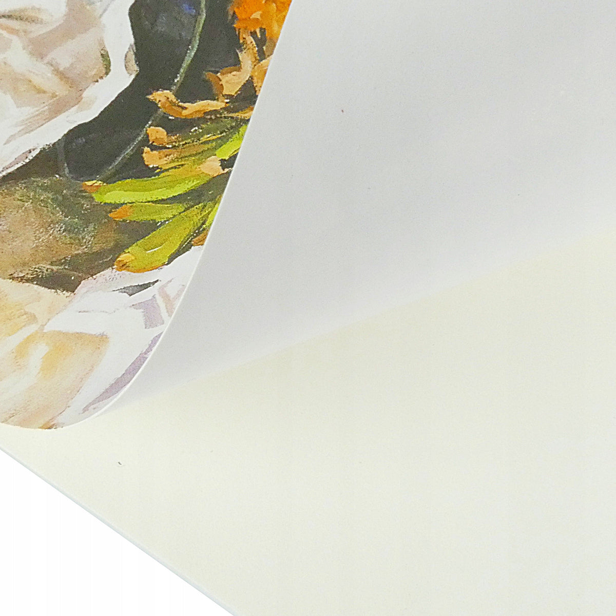 Blok papírů Phoenix 180 g/m², 60 listů – výběr formátu