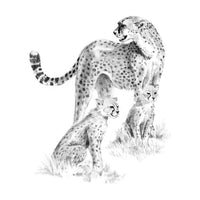 Sada na skicování Royal & Langnickel – Gepard