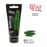 Akrylová barva, 60 ml, ROSA Gallery – Sap Green
