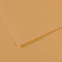 Tónovaný papír CANSON Mi-Teintes 50 x 65 cm – 160 g/m² – Ústřicová 340