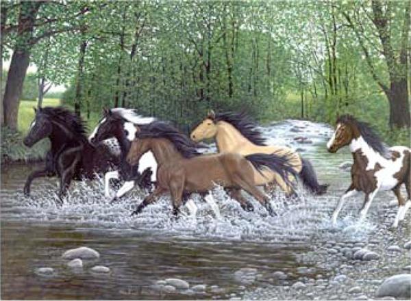 Kreativní set na malování - Běžící koně sada na malování podle čísel Royal & Langnickel