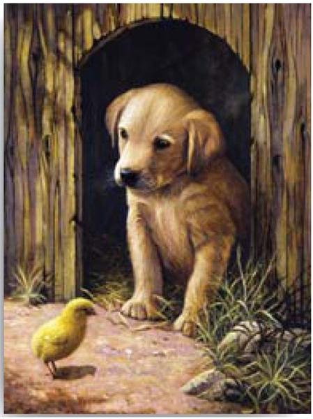 Kreativní set na malování - Štěňátko labradora sada na malování podle čísel Royal & Langnickel
